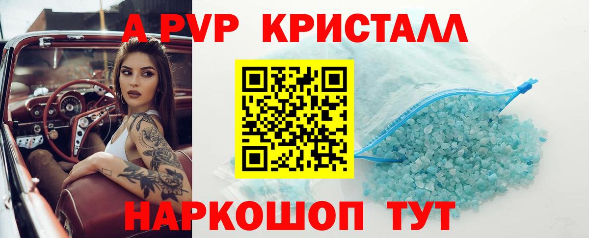 Alfa_PVP СК Калининград